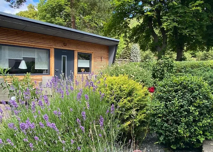 Das Ferienhaus Am Tiergarten